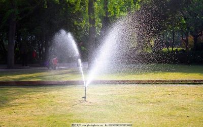 城市心脏的灵动乐章 公园喷泉的视觉盛宴